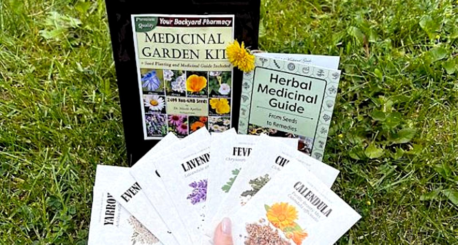 Medicinal Plants for Your Backyard